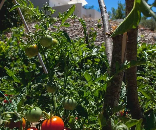 Vintage & Modern * Тучепи